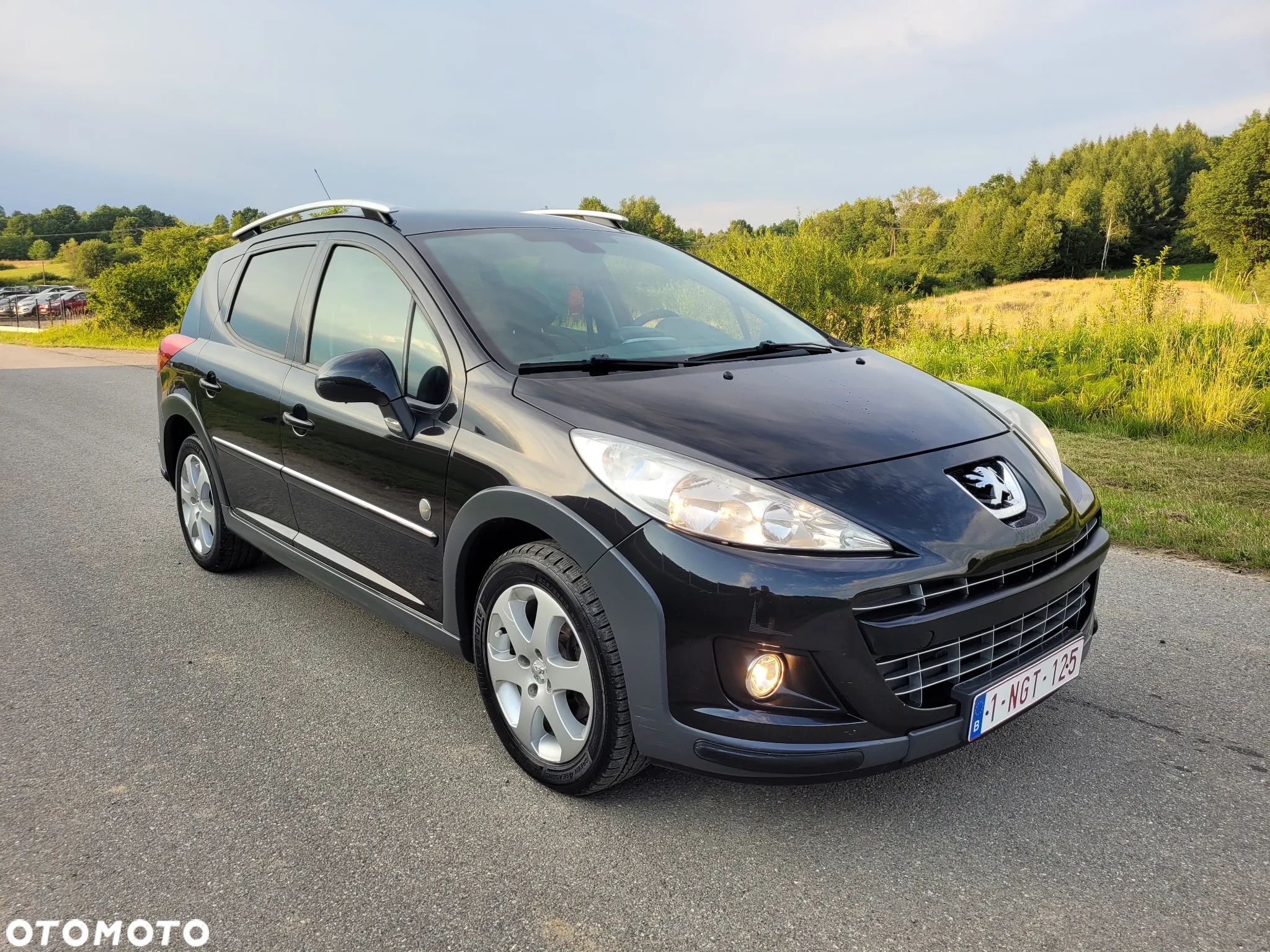 Peugeot 207 SW 110 HDi FAP (Blue Lion) Outdoor - 1