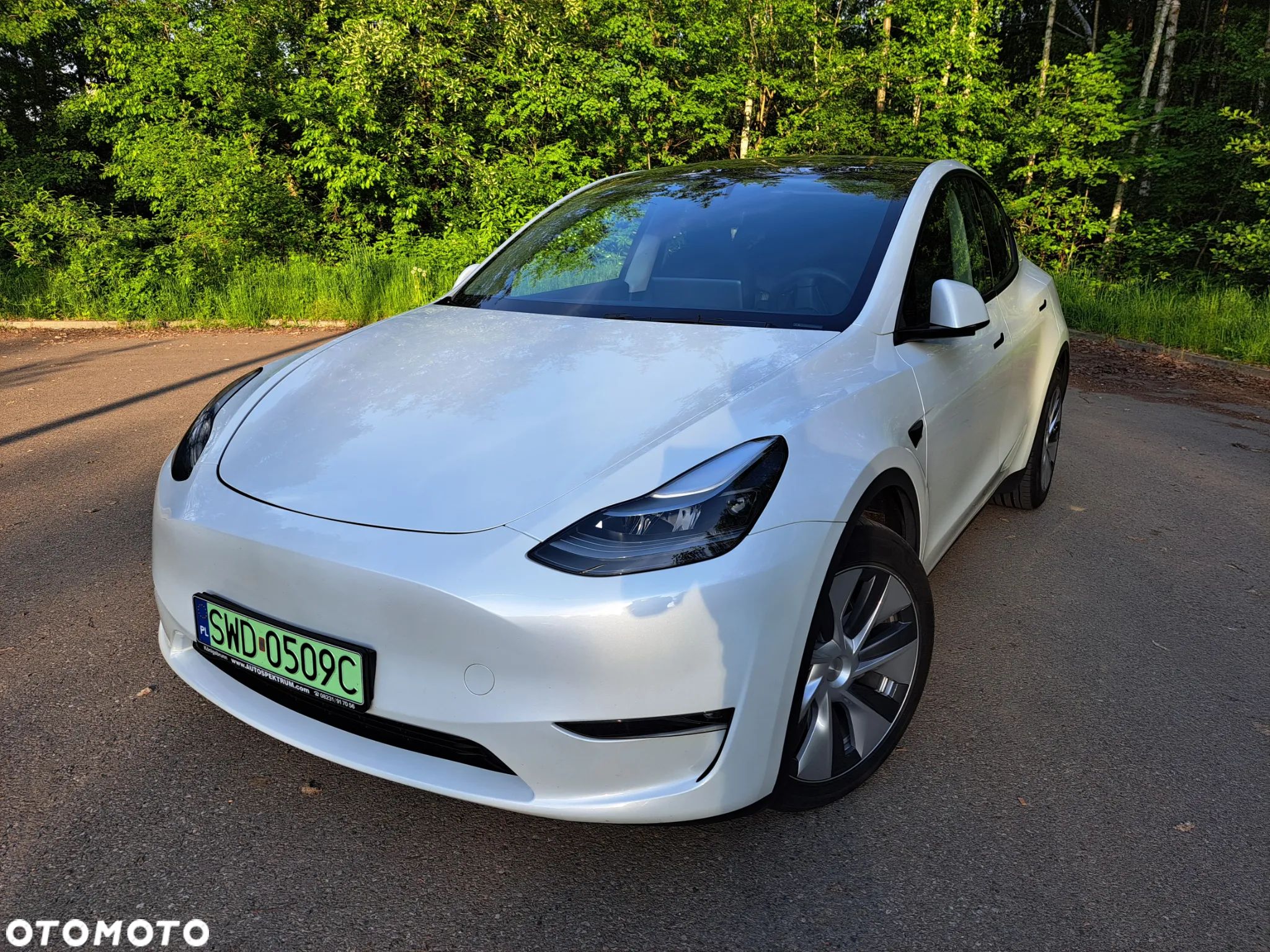Tesla Y Model Long Range Dual Motor AWD - 1