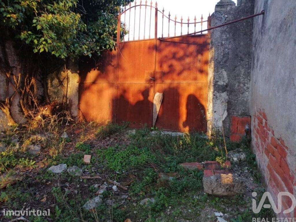 Casa / Villa em Torres Novas (São Pedro), Lapas e Ribeira Branca de 60 - Grande imagem: 2/29