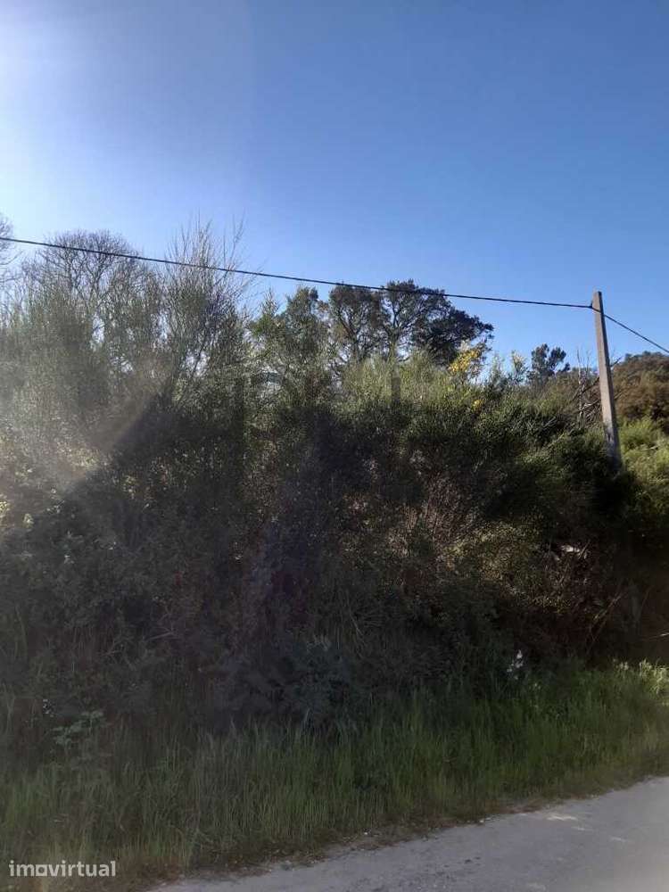 Terreno Rustico - Grande imagem: 2/14