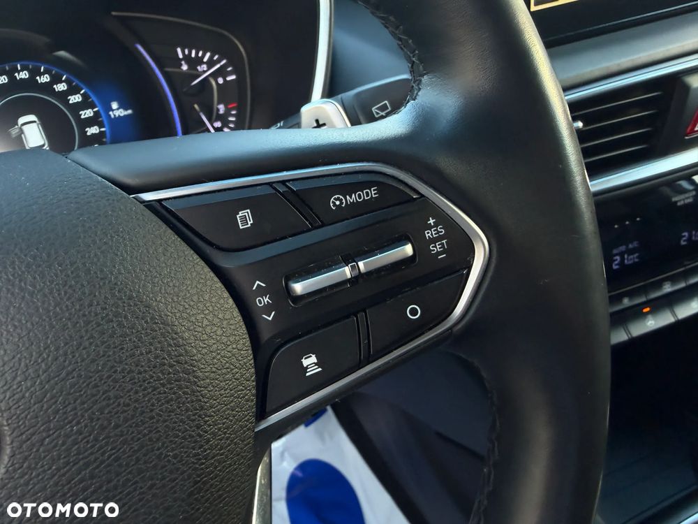 Hyundai Santa Fe 2.0 CRDi Platinum 4WD - 23