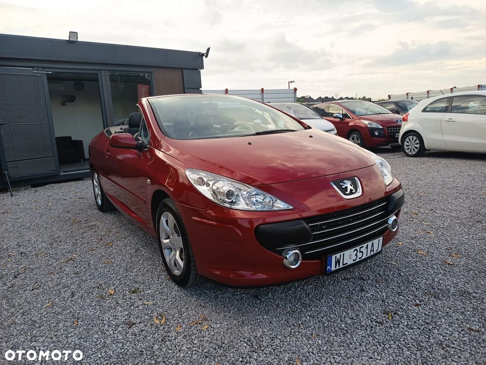 Peugeot 307 CC 110 Filou - 20