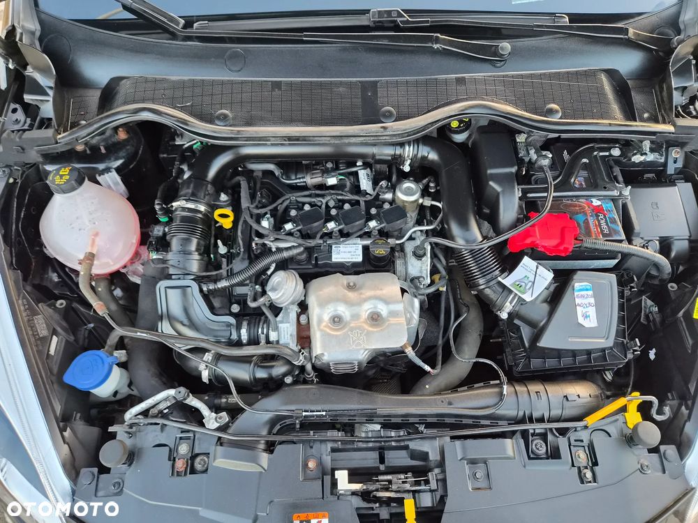 Ford Fiesta 1.0 EcoBoost Start-Stop Champions Edition - 18
