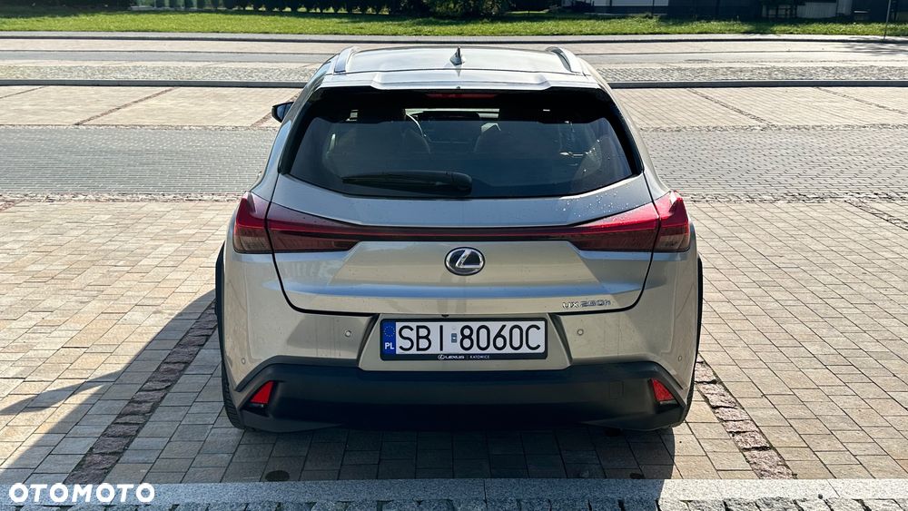 Lexus UX 250h GPF Prestige AWD - 10