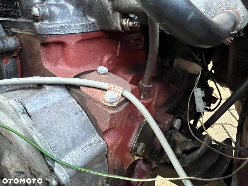 Polonez Caro - 18