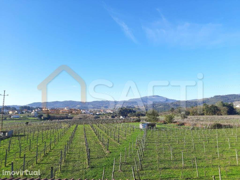Magnifica Quinta com Moradia T4 e Vinha - Grande imagem: 2/13
