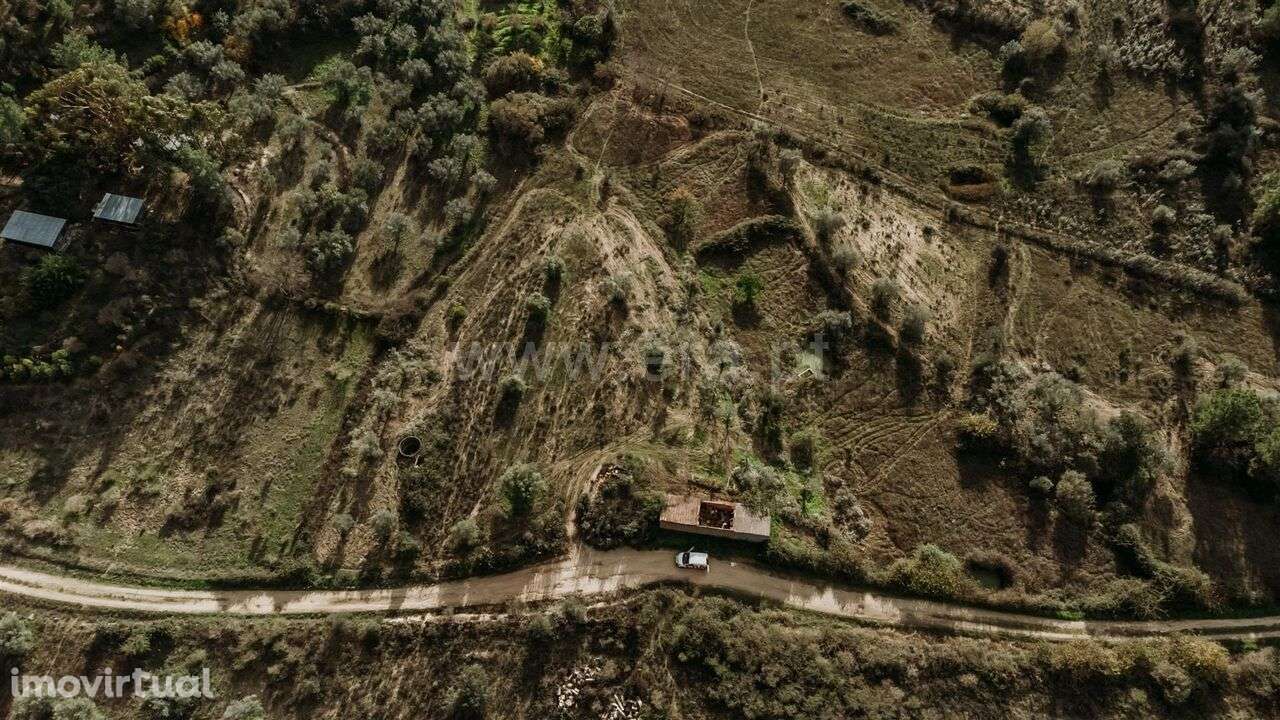 Quinta / Fundão, Orca - Grande imagem: 2/5