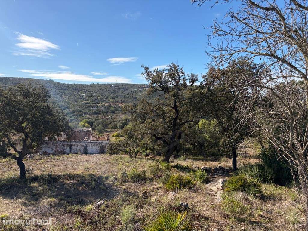 Terreno de 12.000m² com Projeto Aprovado para Moradia e Piscina na ... - Grande imagem: 3/21