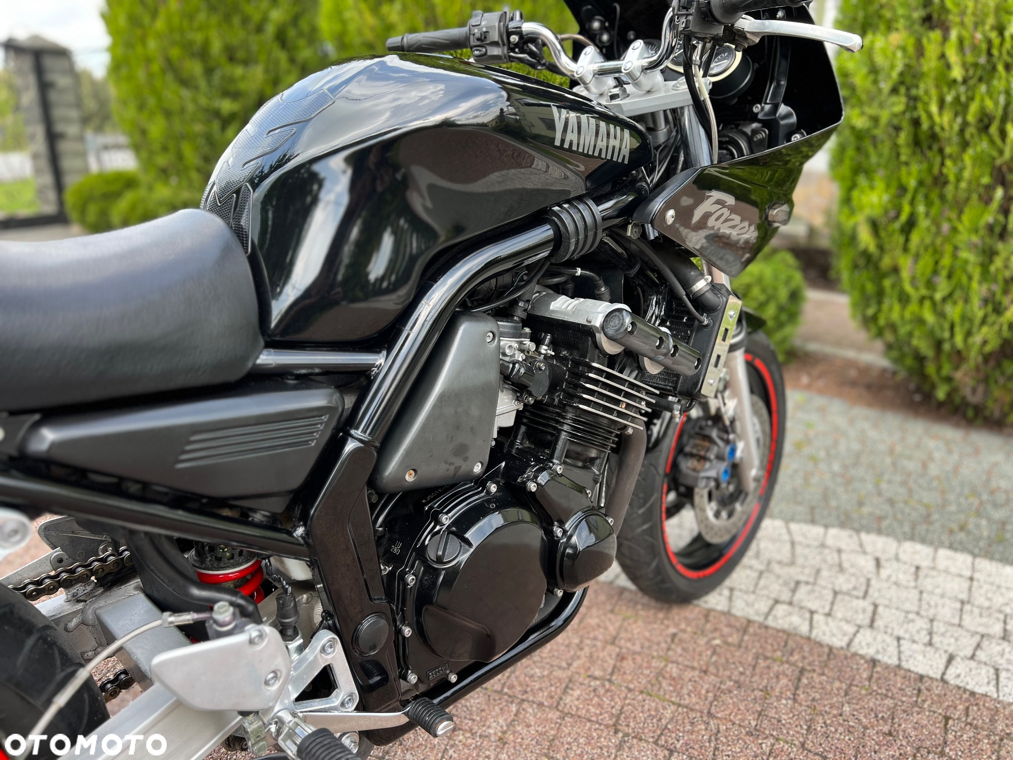 Yamaha FZS - 15