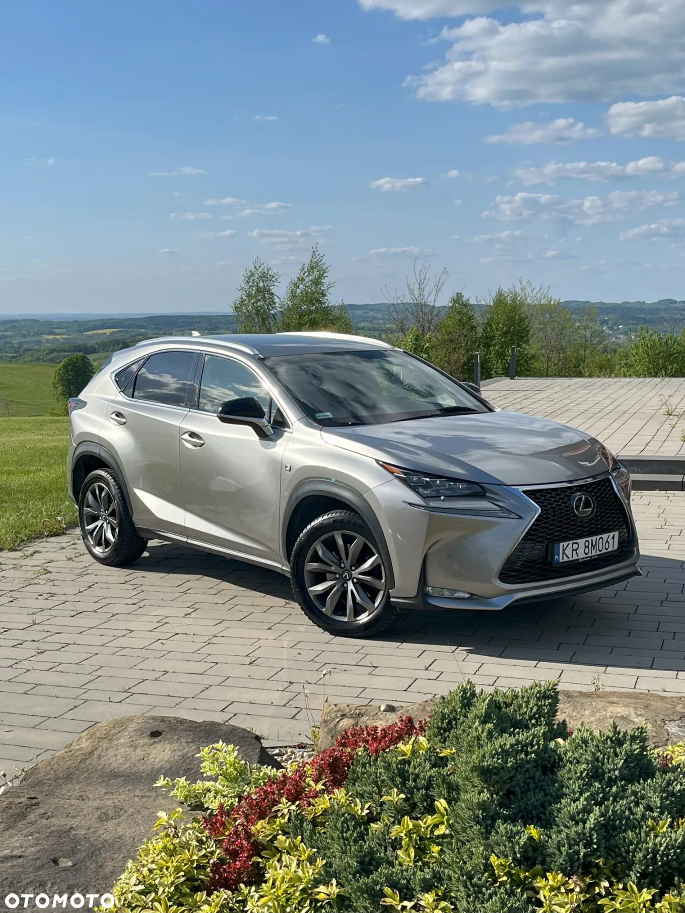 Lexus NX 200t F Sport AWD - 1
