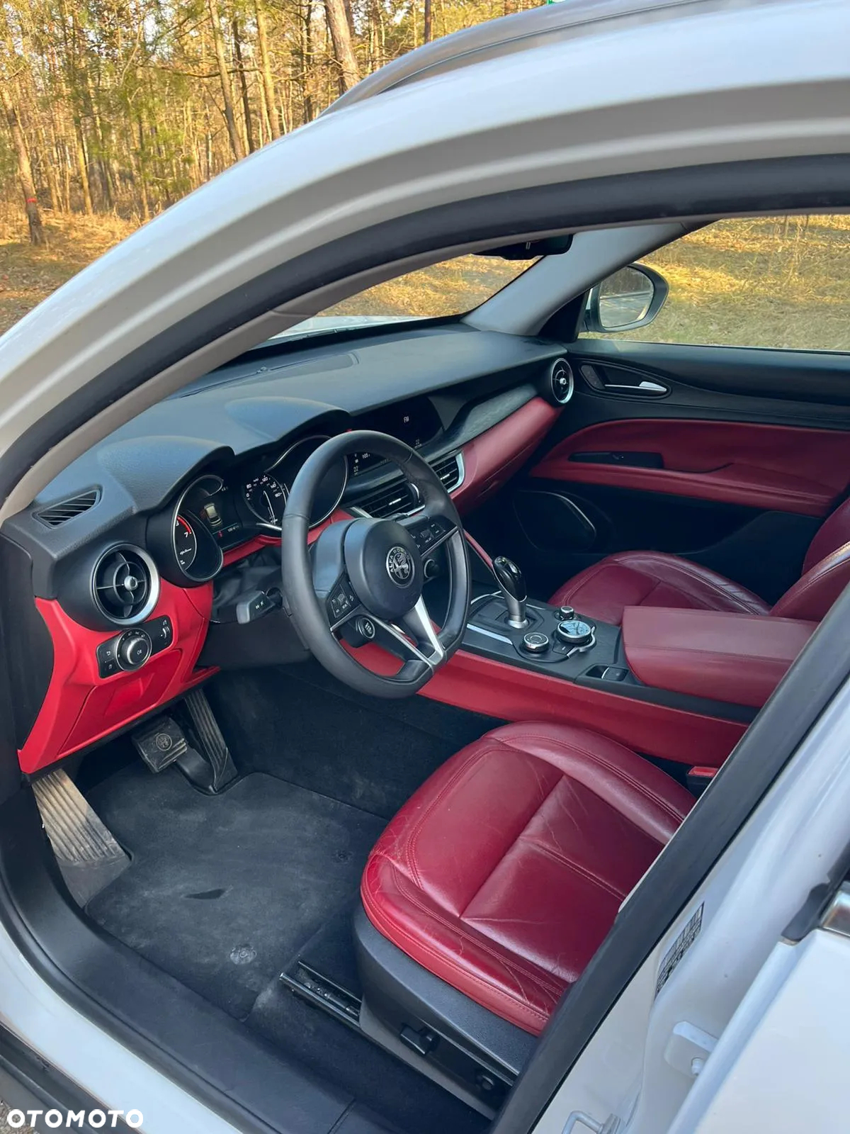 Alfa Romeo Stelvio 2.0 Turbo Executive Q4 - 10