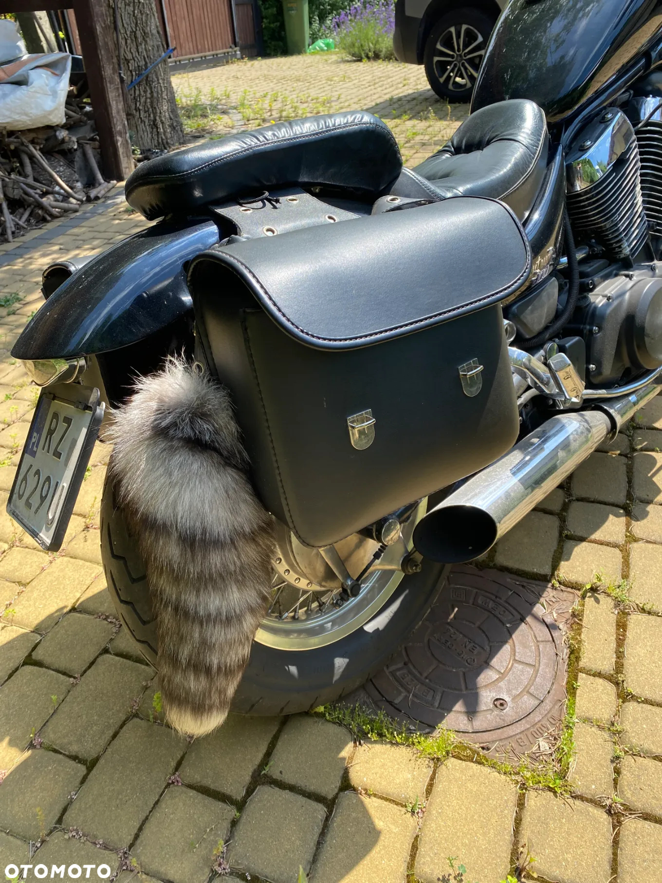 Suzuki Intruder - 3