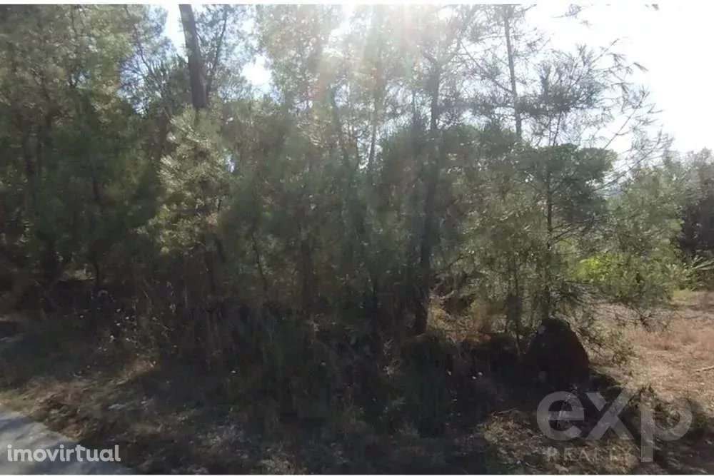 Quintinha com Terreno Urbano em Nelas - Grande imagem: 4/9