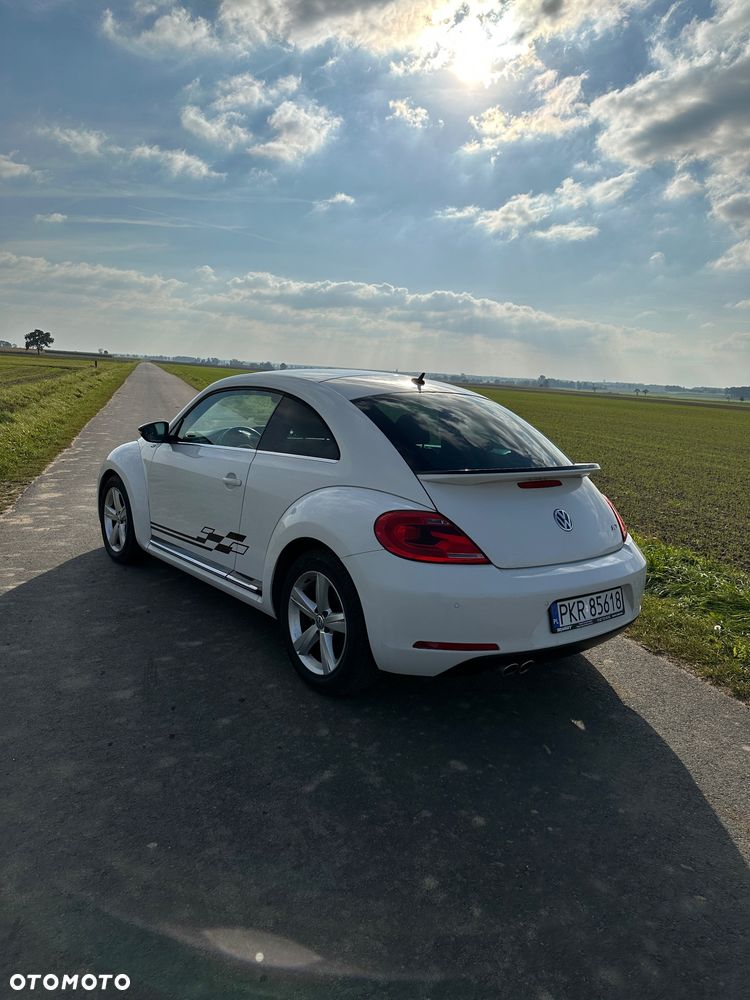 Volkswagen Beetle - 6