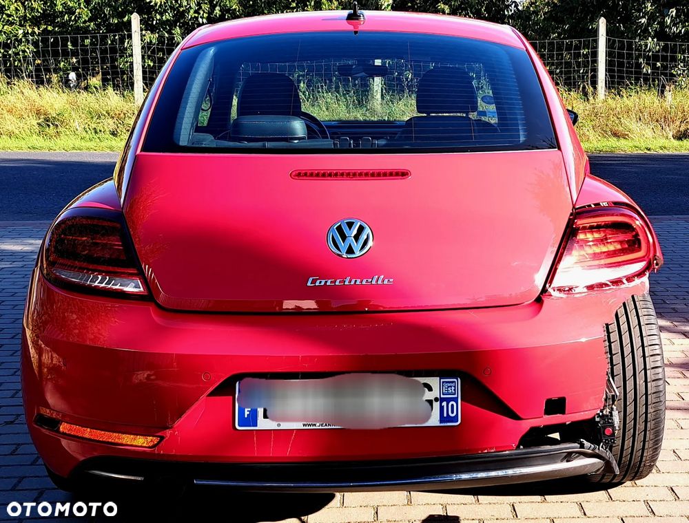 Volkswagen Beetle - 6