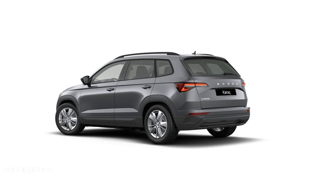 Skoda Karoq - 2