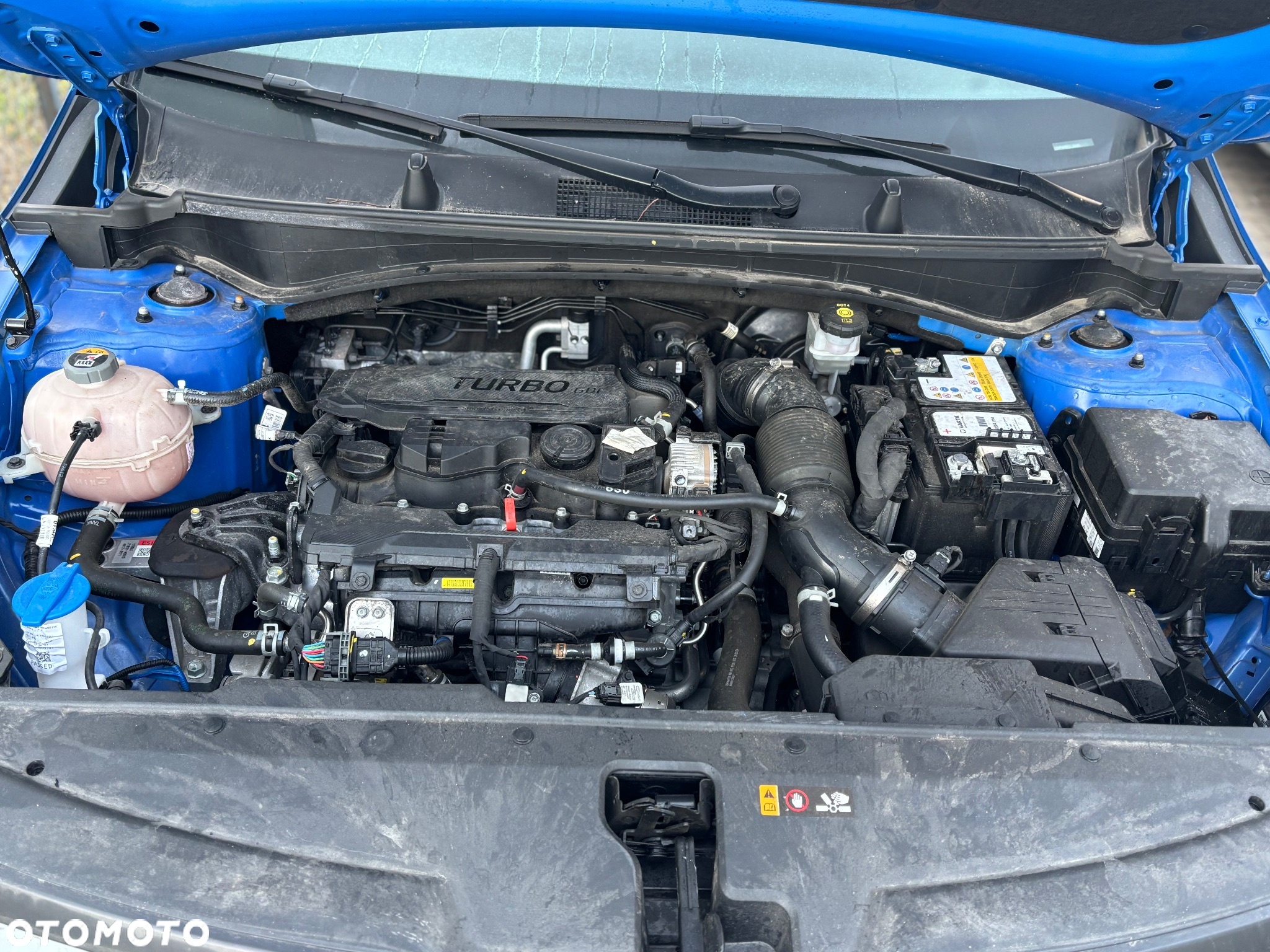 Kia Sportage - 21