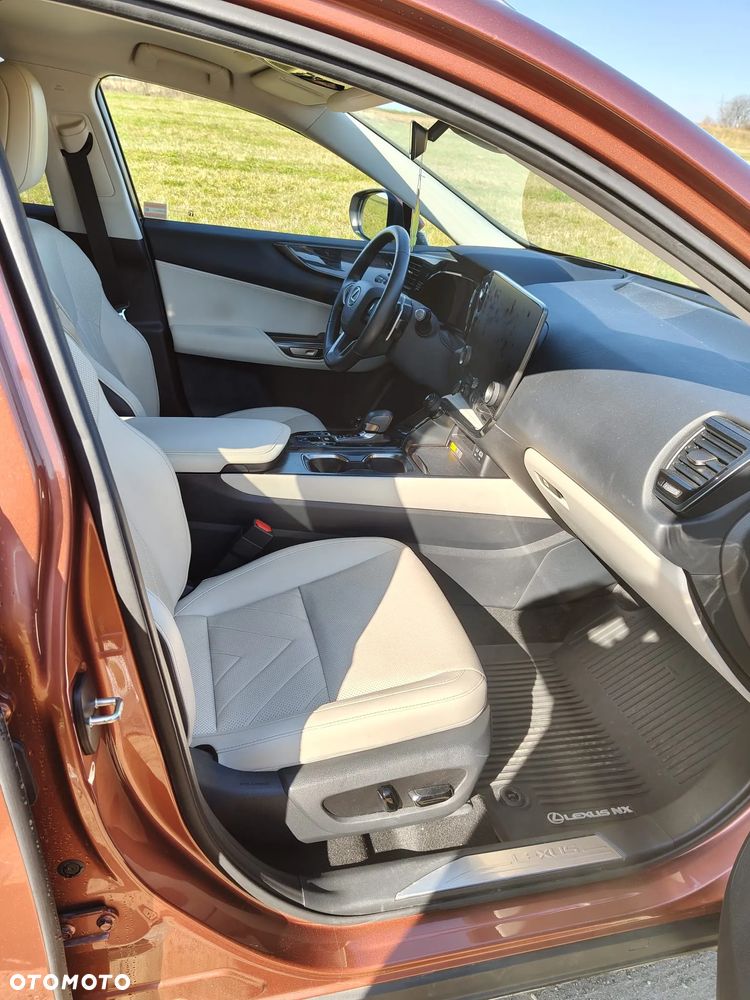 Lexus NX - 14