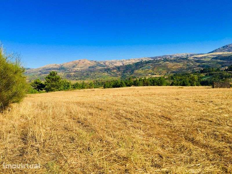Terreno agrícola 4,93 ha | Água, EN17 e casa em pedra | Gouveia - Grande imagem: 4/11