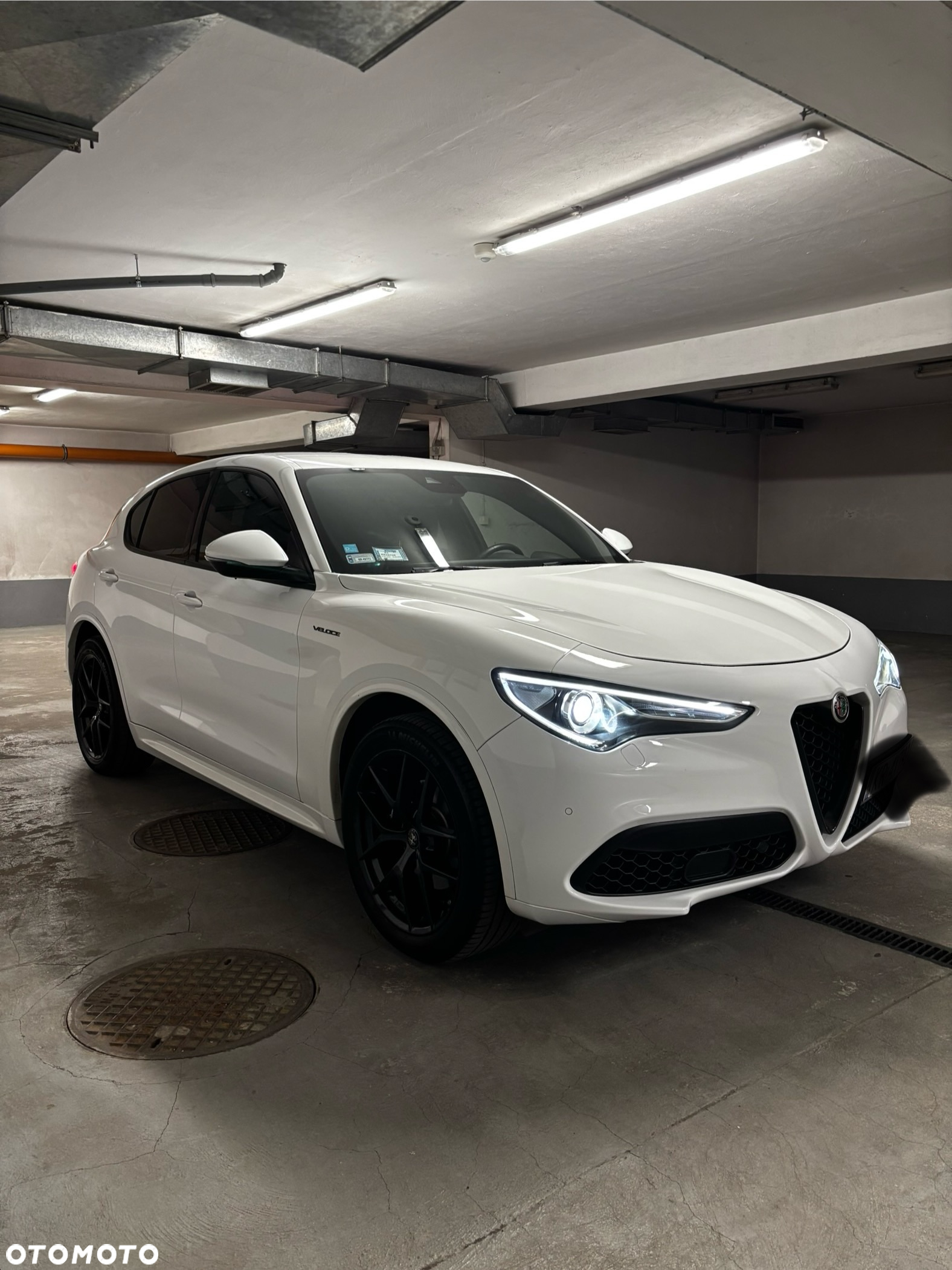 Alfa Romeo Stelvio 2.0 Turbo Veloce Q4 - 2