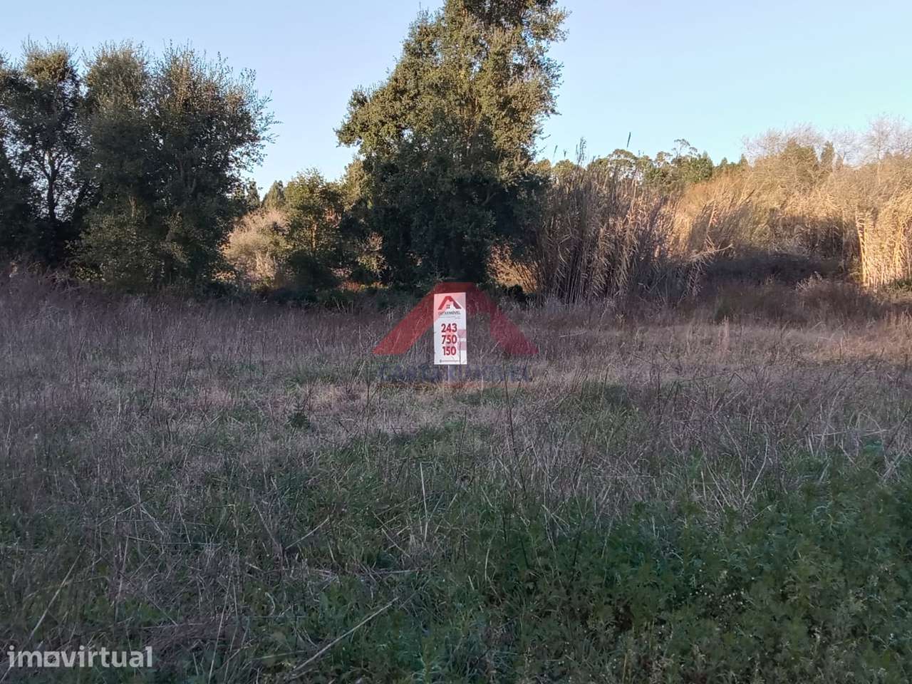 Terreno  Venda em Almoster,Santarém - Grande imagem: 3/14