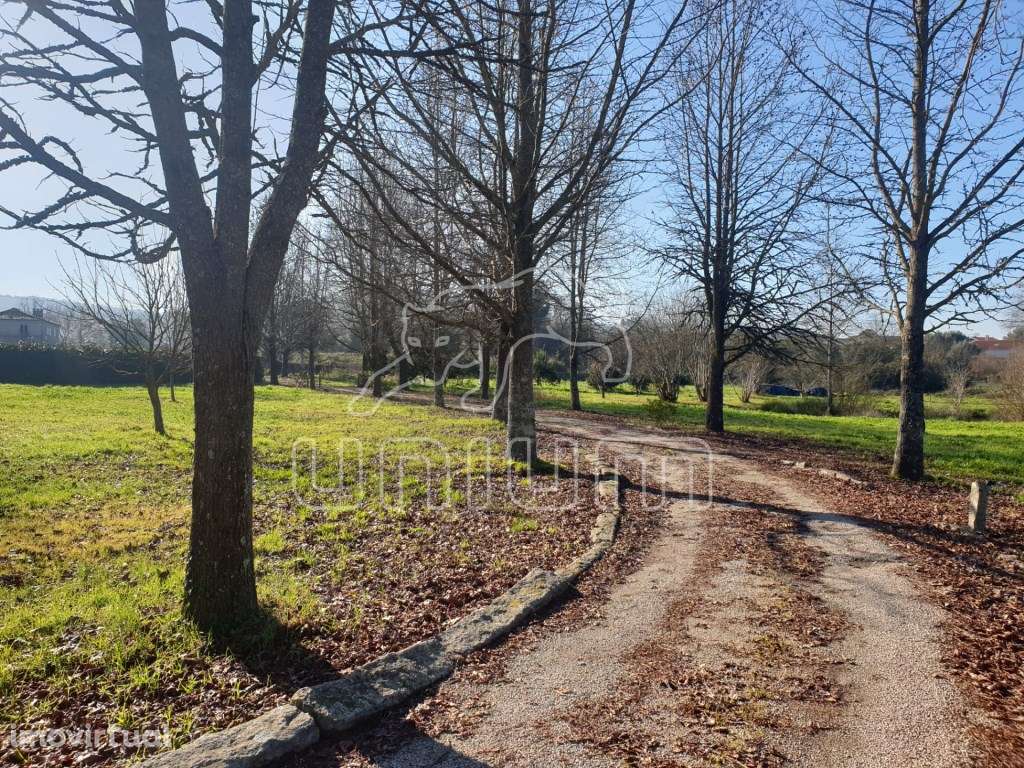 Quinta Brasonada em Vila Franca, Viana do Castelo - Grande imagem: 3/11