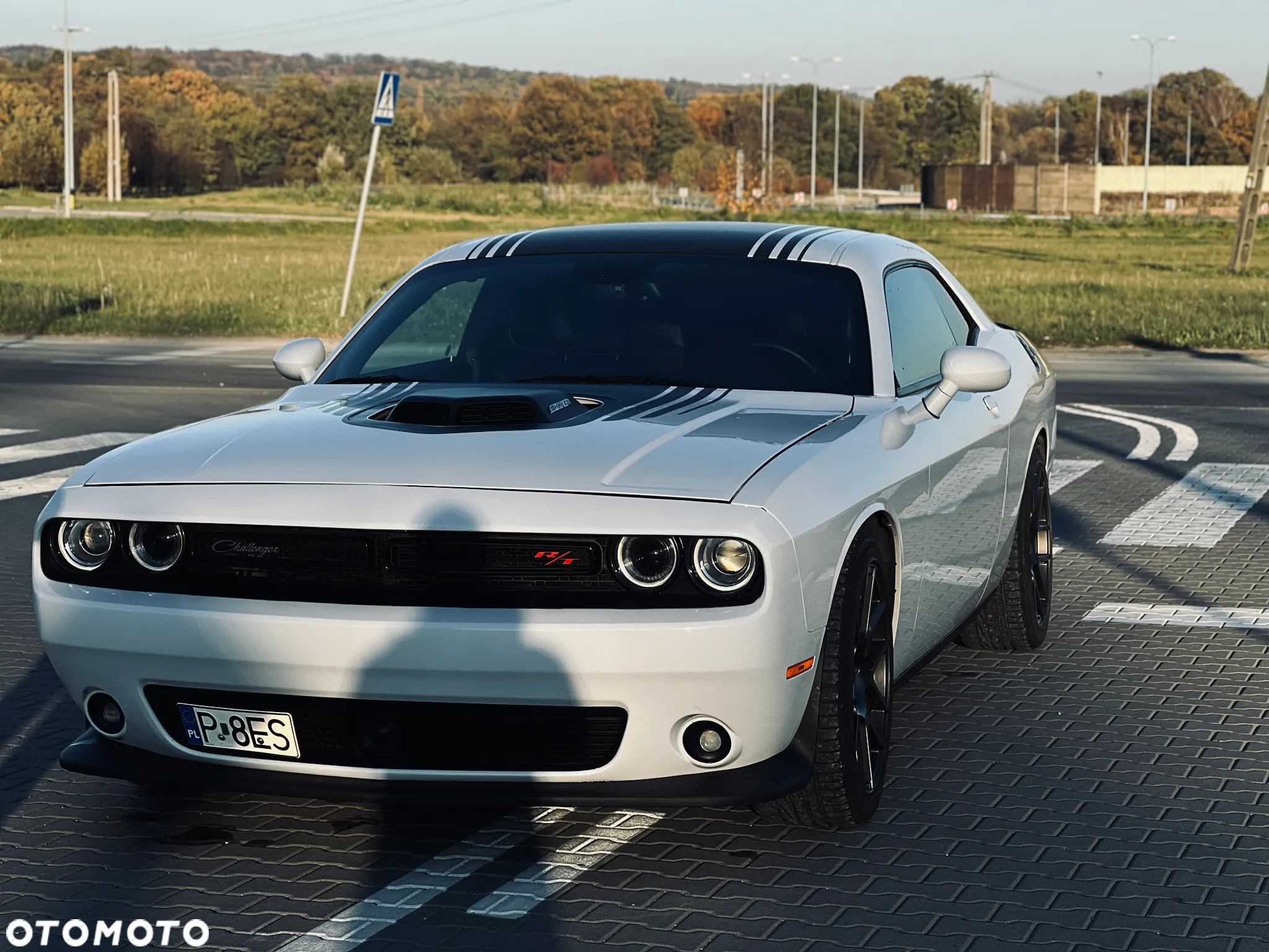 Dodge Challenger Automatik R/T Plus Shaker - 3