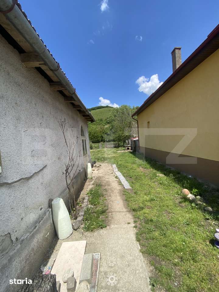Casa de vanzare, strada principala, Viile Tecii - Imagine principală: 2/2