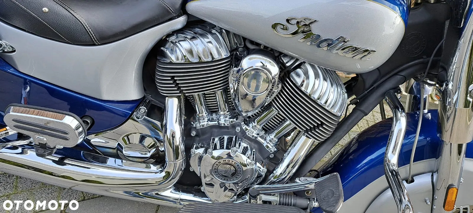 Indian Springfield - 18