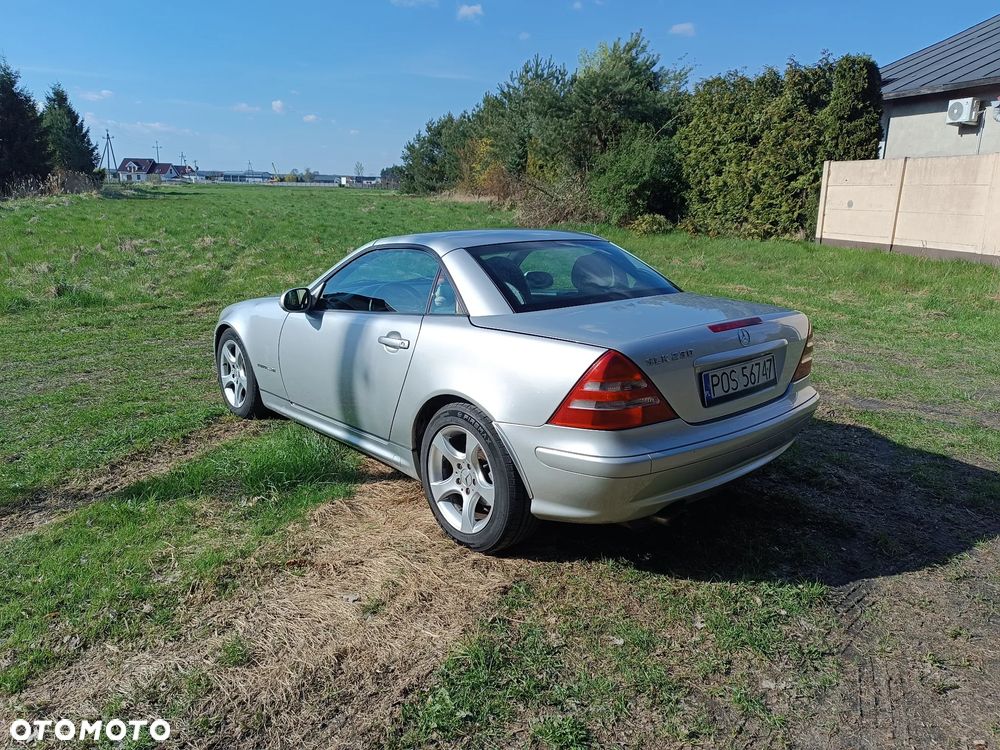 Mercedes-Benz SLK - 7