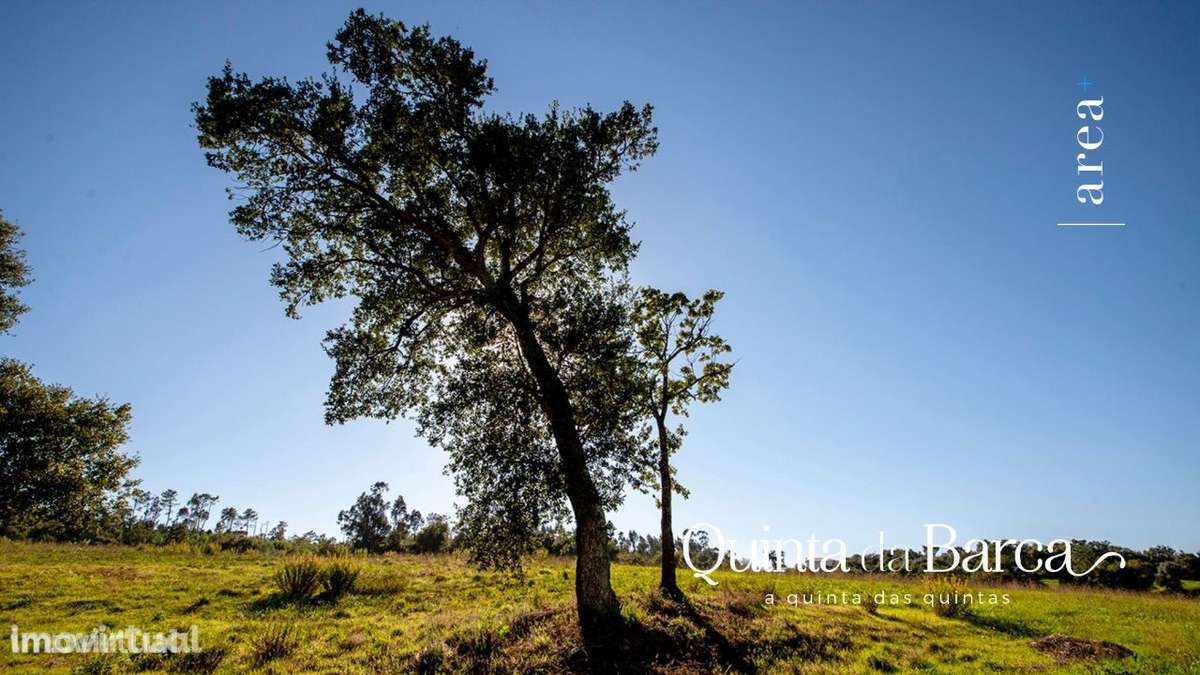 Imóvel Exclusivo | A Quinta da Barca - Grande imagem: 3/31