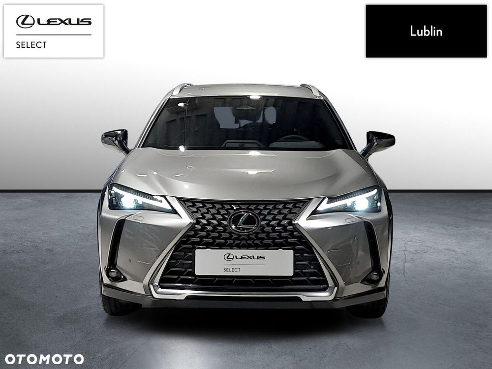 Lexus UX 300h Business - 8