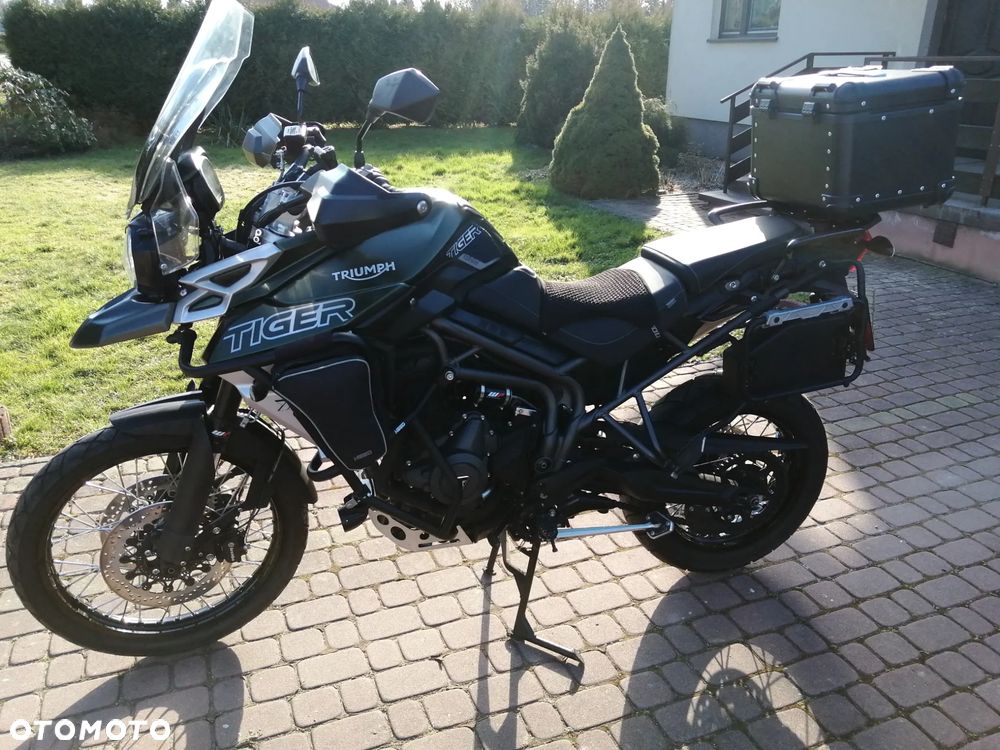 Triumph Tiger - 25