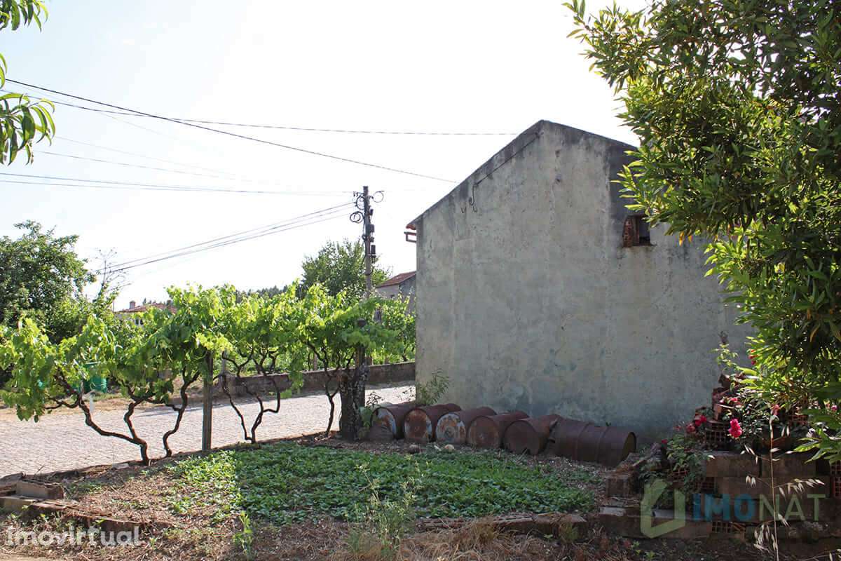 Moradia - Grande imagem: 3/9