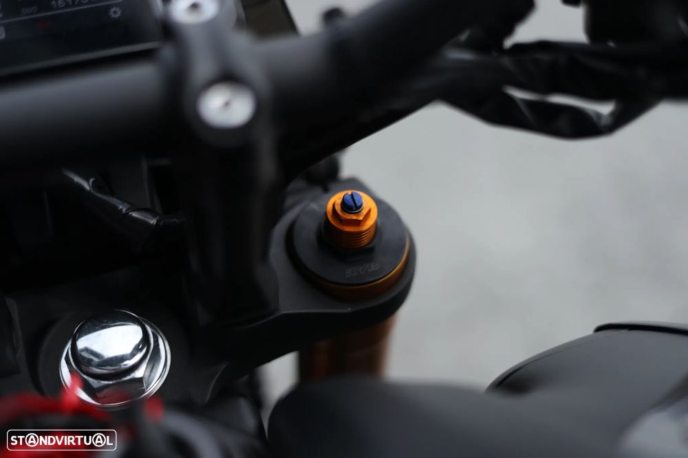 Yamaha MT-09 SP 2024 Crash Bars - 5