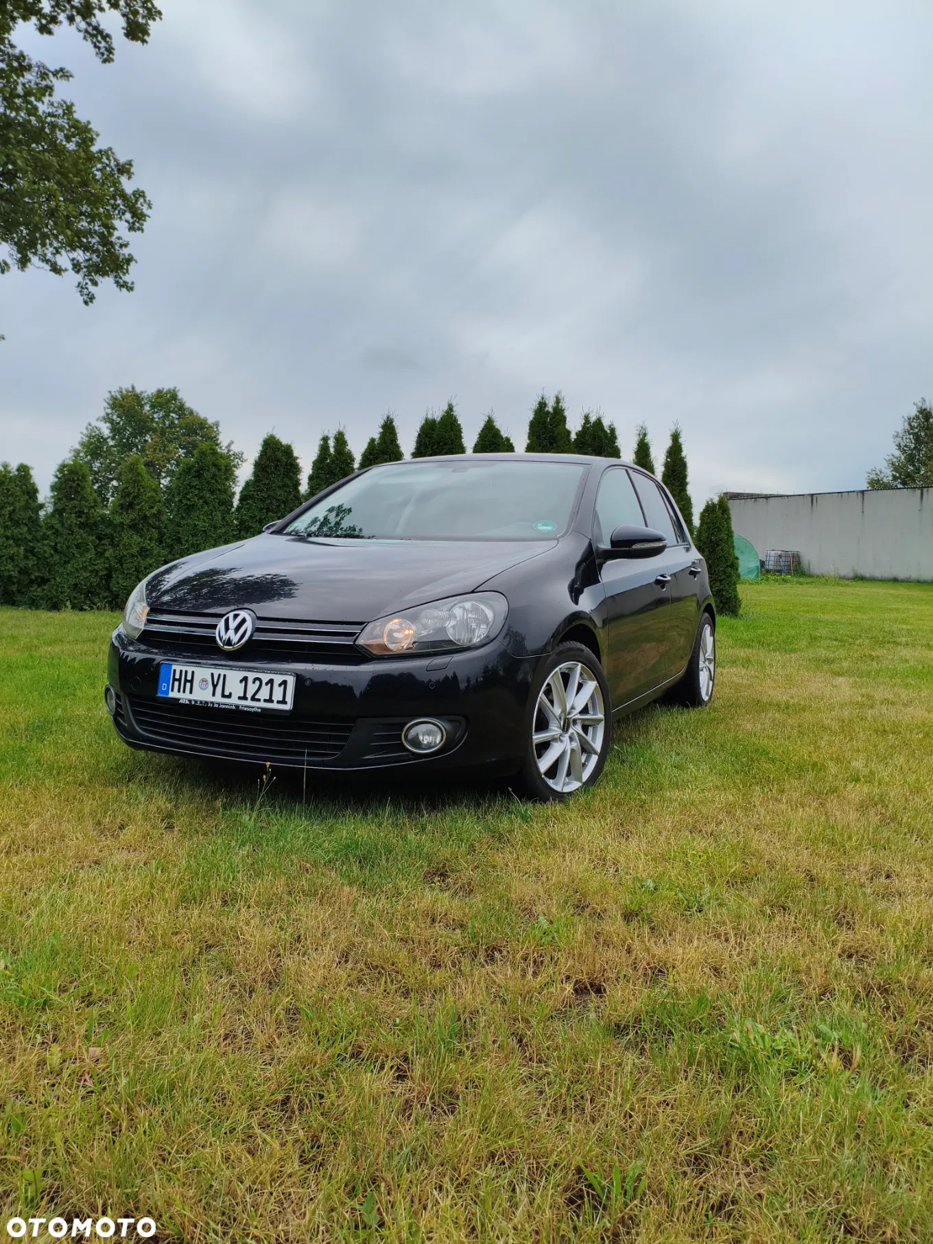 Volkswagen Golf - 29