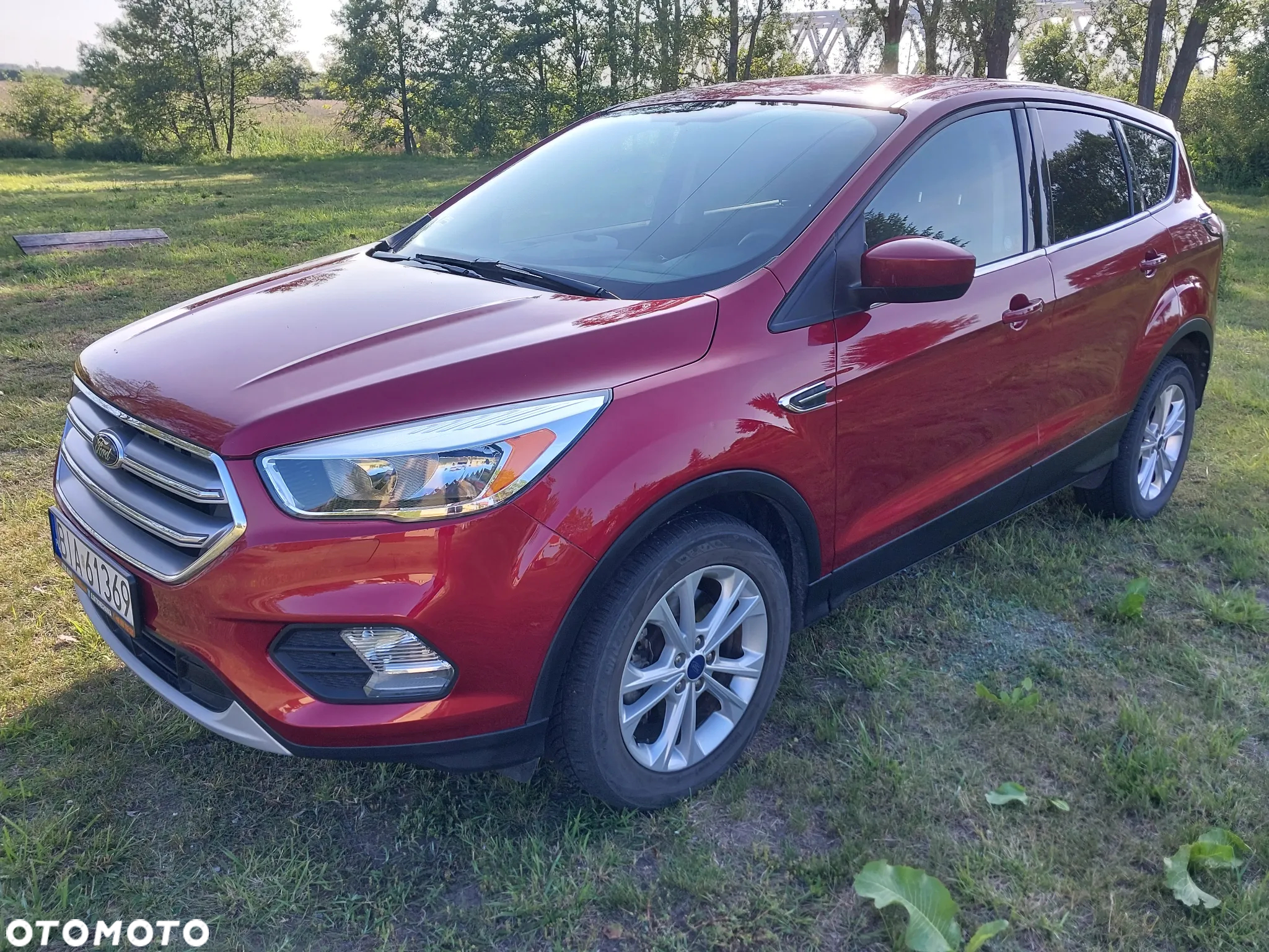 Ford Escape - 10