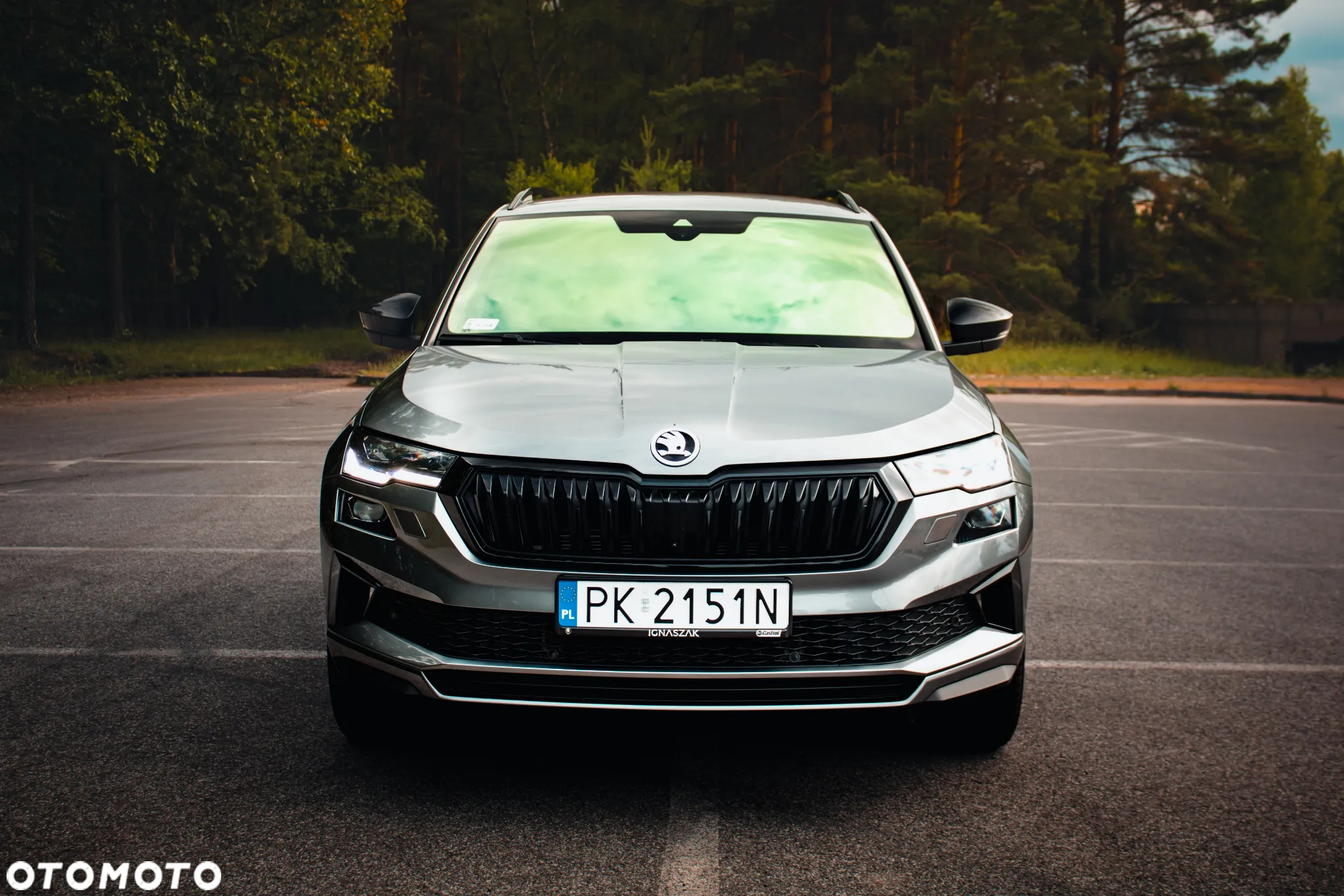 Skoda Karoq 2.0 TSI 4x4 Sportline DSG