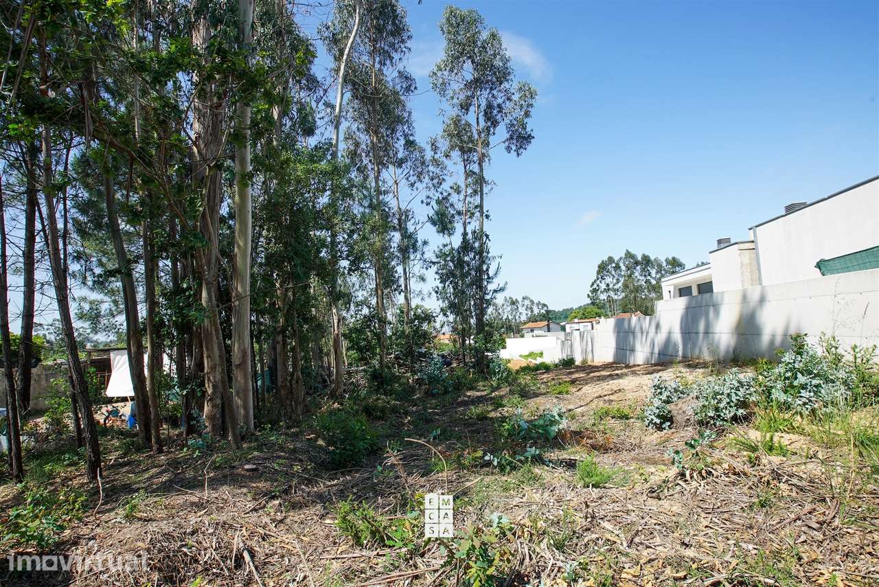 Terreno Para Construção  Venda em São Miguel do Souto e Mosteirô,Santa - Grande imagem: 3/14