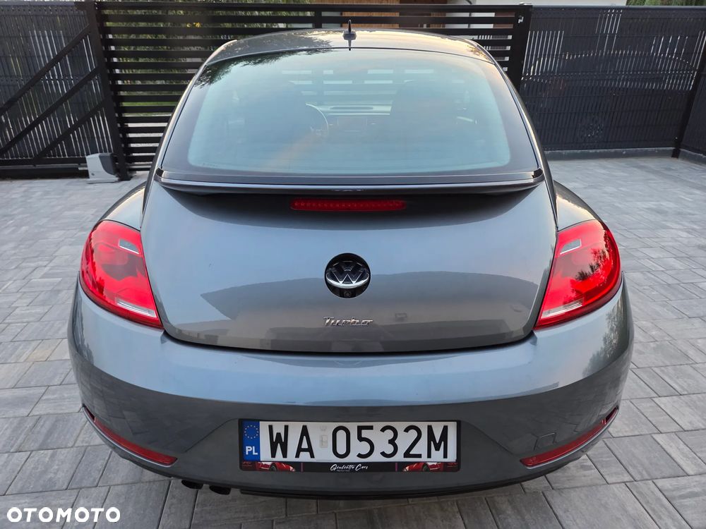 Volkswagen Beetle - 8