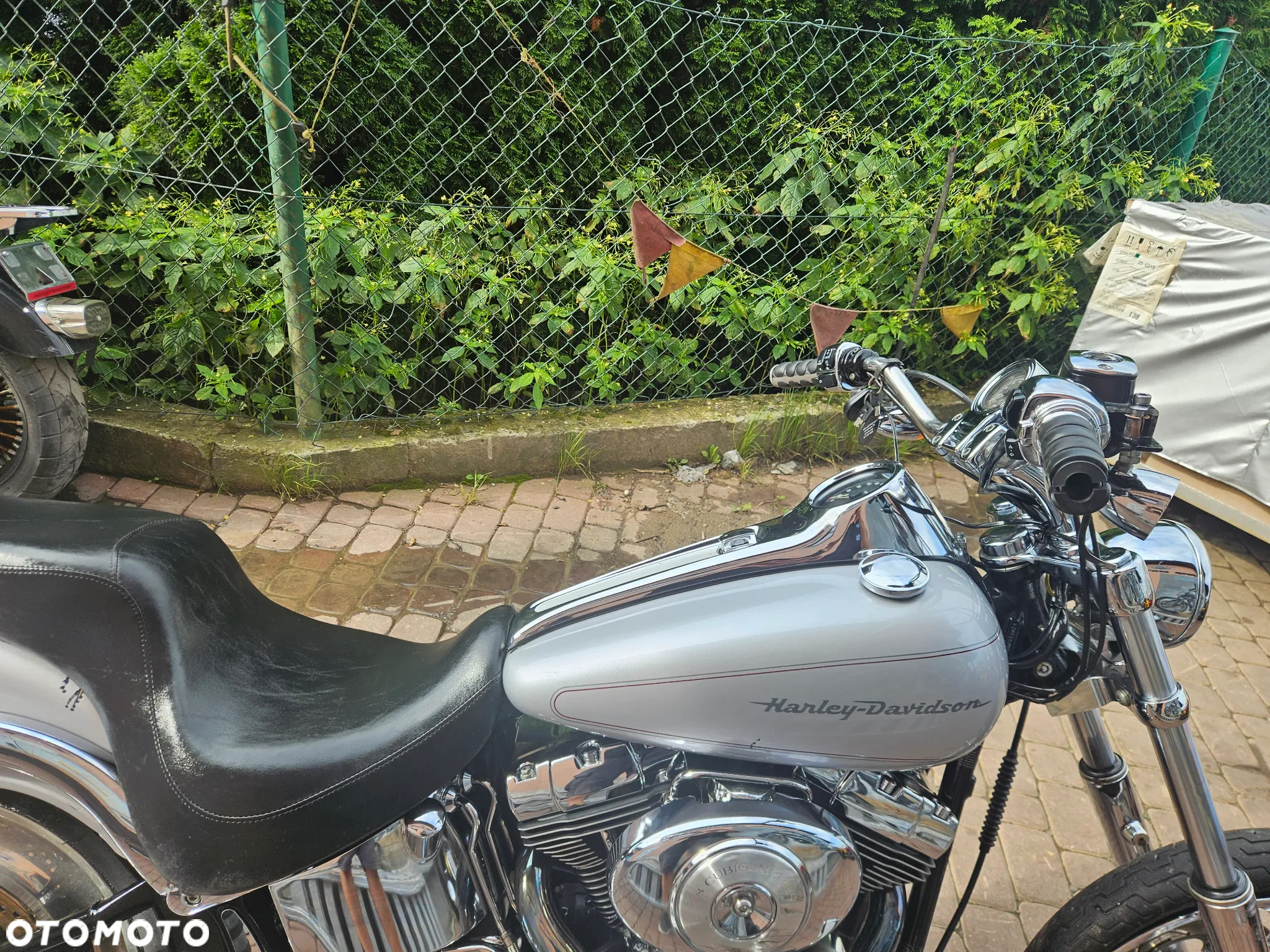 Harley-Davidson Softail Standard - 5