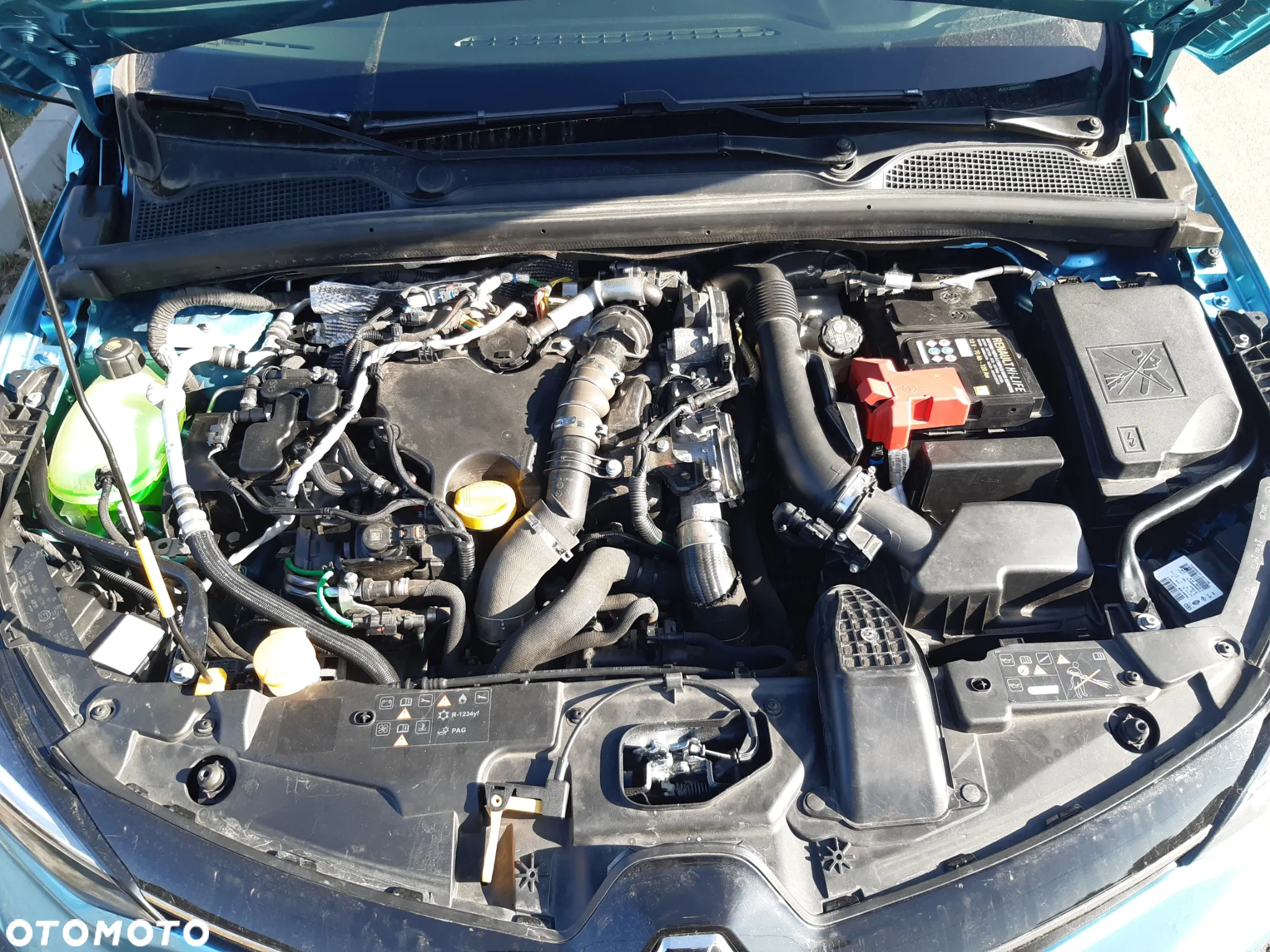 Renault Clio - 22