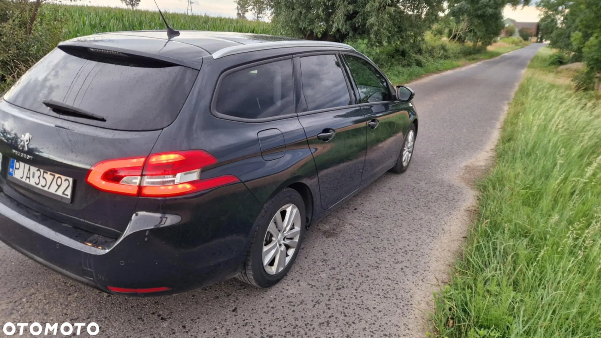 Peugeot 308 1.6 BlueHDi Business Line S&S - 11