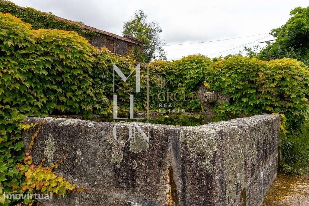 Magnífica Quinta toda murada situada em Vila Caiz, Amarante - Grande imagem: 4/43