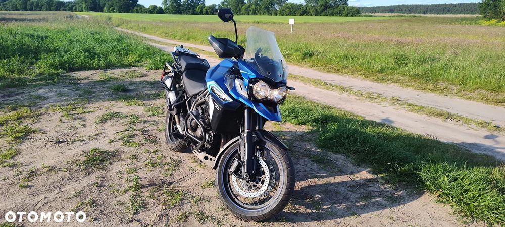 Triumph Tiger - 7
