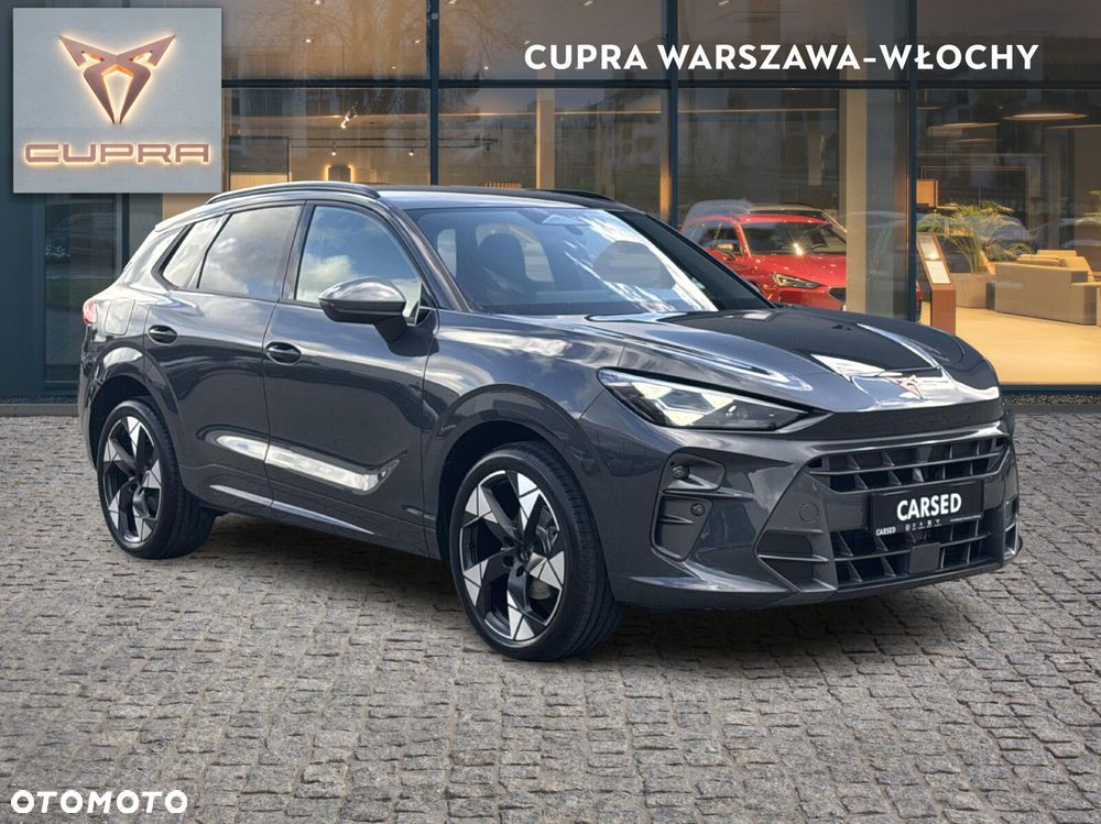Cupra Terramar - 8