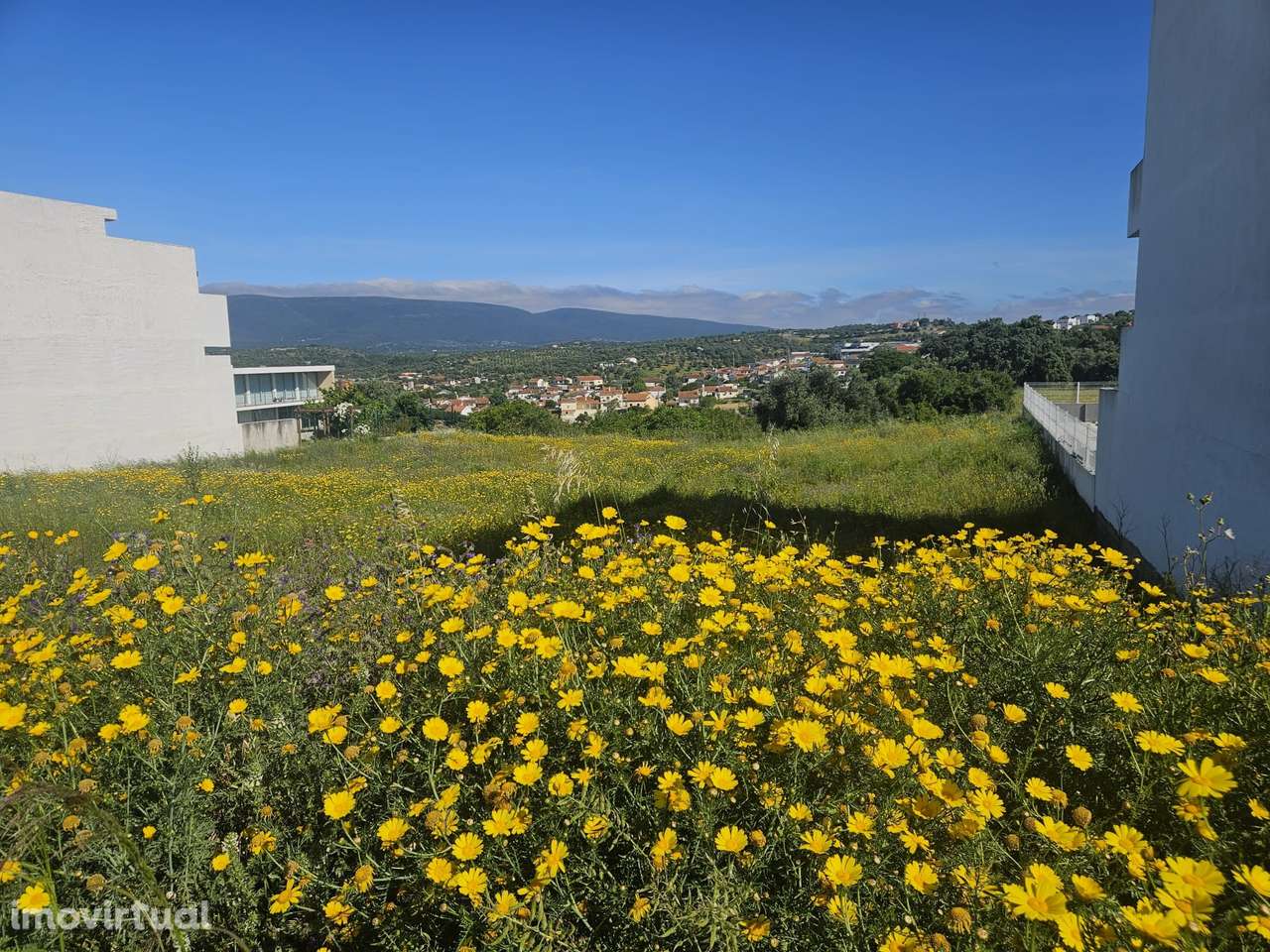 Terreno  Venda em Torres Novas (São Pedro), Lapas e Ribeira Branca,Tor - Grande imagem: 2/2