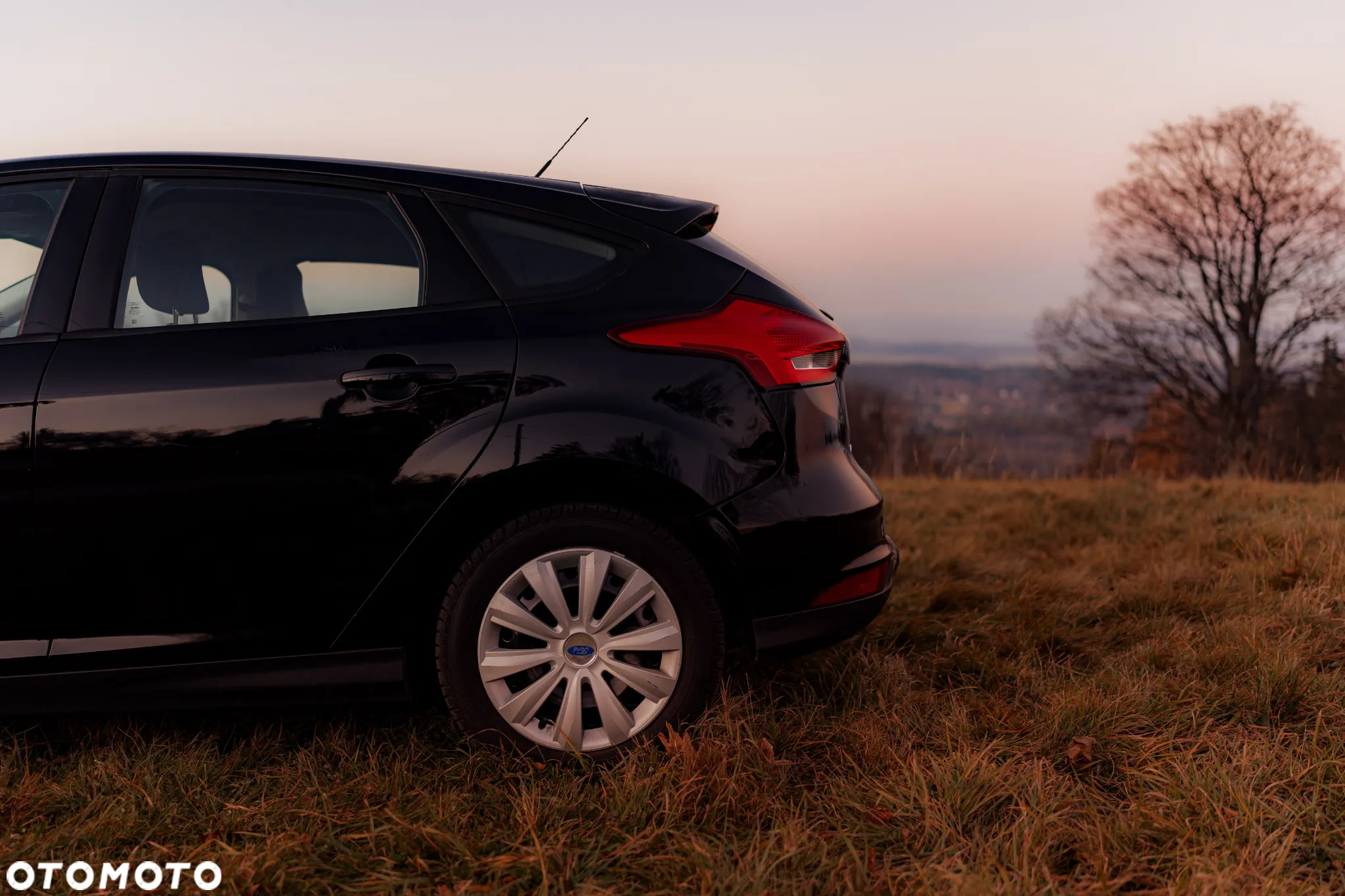 Ford Focus - 32