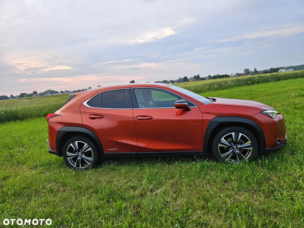 Lexus UX 250h GPF Omotenashi AWD - 5