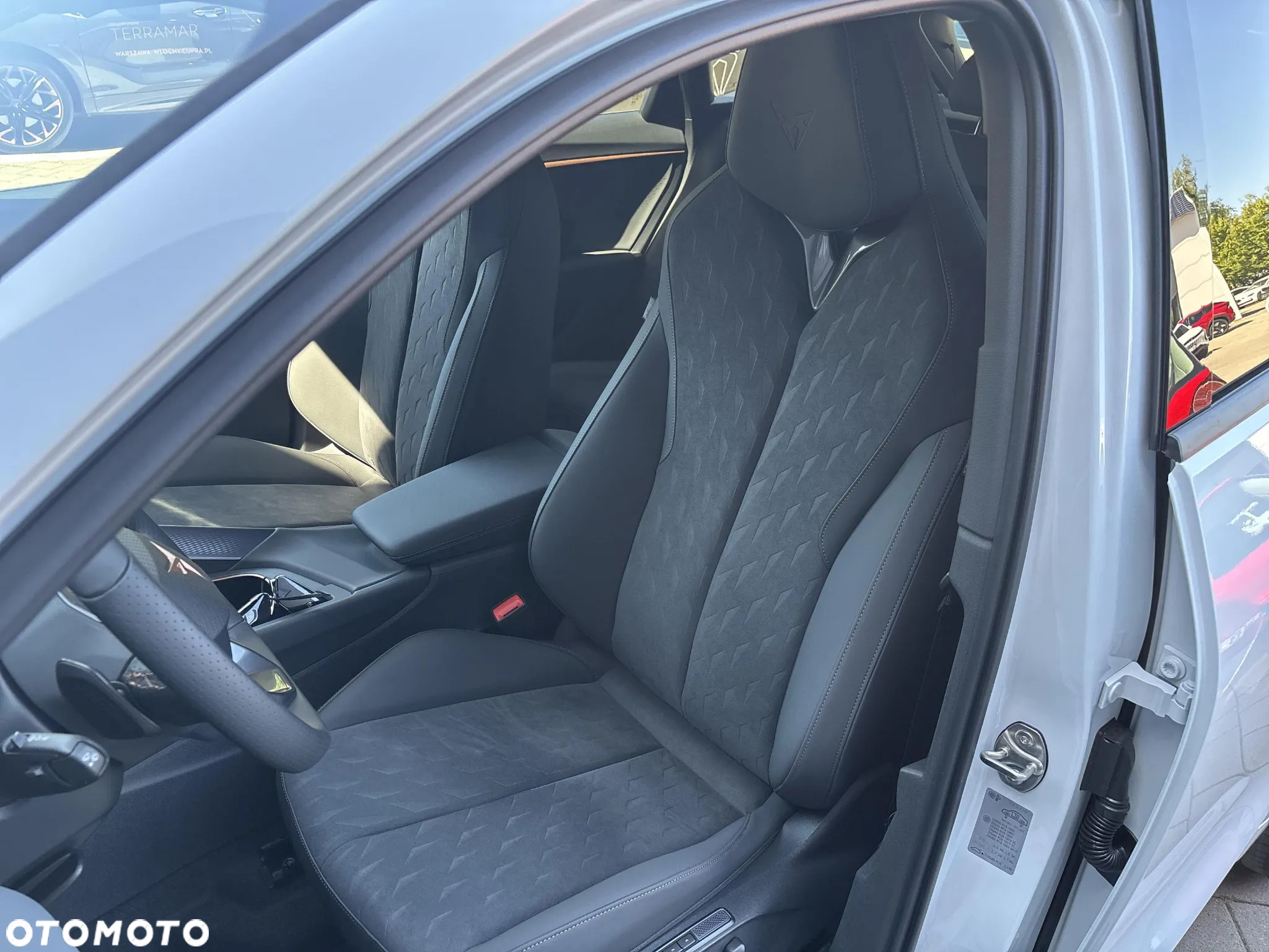 Cupra Terramar 2.0 TSI 4Drive DSG - 10